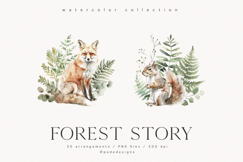 K&ouml;nnte beinhalten: Aquarell-Illustration eines Fuchses und eines Eichh&ouml;rnchens, umgeben von gr&uuml;nem Laub. Die Illustration tr&auml;gt den Titel "Forest Story" mit dem Text "30 Arrangements / PNG-Dateien / 300 dpi @pededesigns".