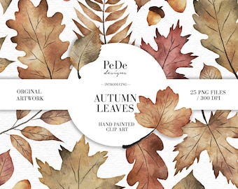 Watercolor autumn leaves clip art pack, autumn cliparts, forest illustartions, planner stickers, botanical, download