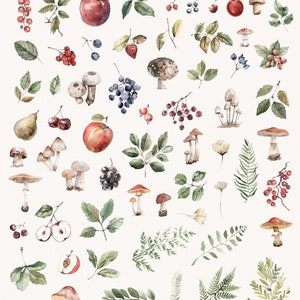 K&ouml;nnte beinhalten: Aquarell-Illustrationen von Waldelementen, darunter Pilze, Beeren, Bl&auml;tter und Blumen. Die Illustrationen sind in Rot-, Gr&uuml;n-, Braun- und Wei&szlig;t&ouml;nen gehalten. Der Text "FOREST STORY" ist oben im Bild in Schwarz geschrieben.