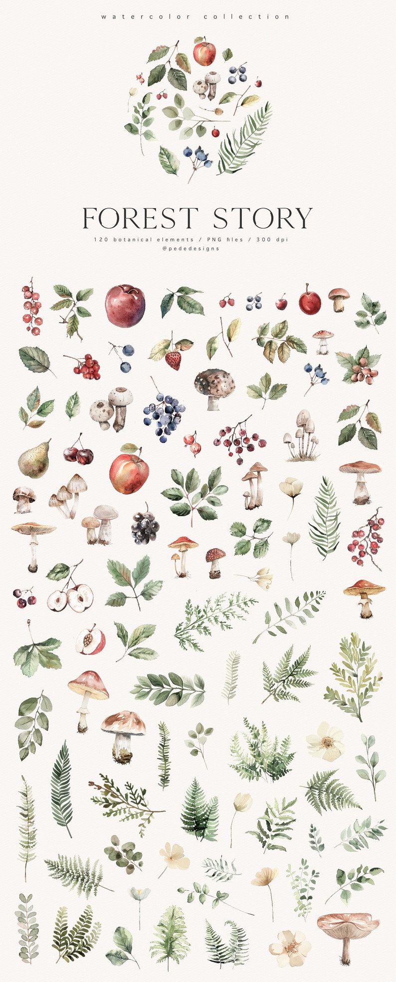 K&ouml;nnte beinhalten: Aquarell-Illustrationen von Waldelementen, darunter Pilze, Beeren, Bl&auml;tter und Blumen. Die Illustrationen sind in Rot-, Gr&uuml;n-, Braun- und Wei&szlig;t&ouml;nen gehalten. Der Text "FOREST STORY" ist oben im Bild in Schwarz geschrieben.