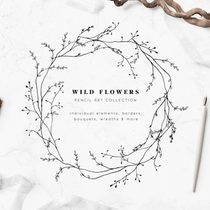 Wilde bloemencollectie, weideillustraties, handgetekende bloemen clipart, bruiloft, logo-elementen, schets wilde bloem, botanische png, download