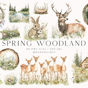 Spring Woodland, Aquarell Frühling Clipart, Waldtiere, Waldtiere, Frühling png Grafiken, Wildblumen, Hirsch, Bär, Elch, download