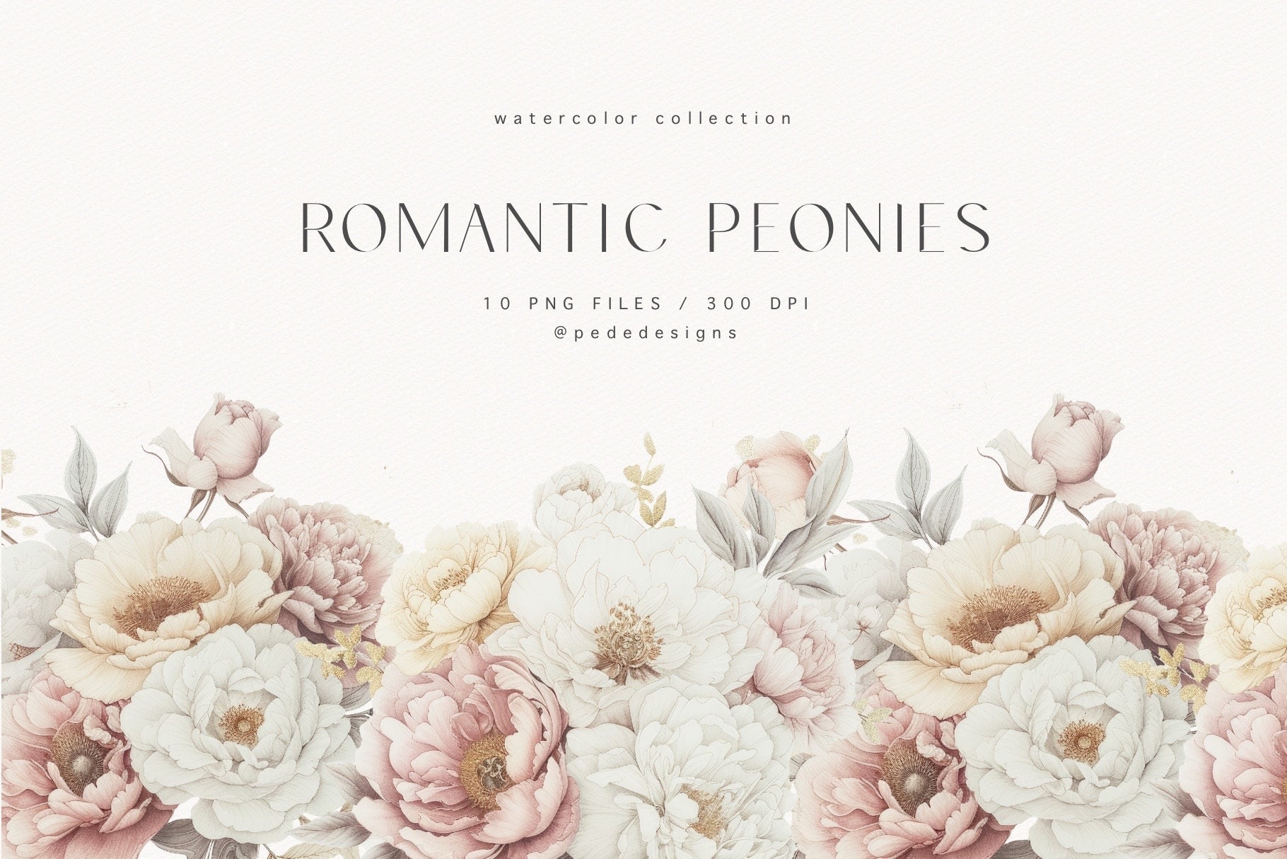 Watercolor Romantic Peonies Clipart, Border Clipart, White & Pink Peony ...