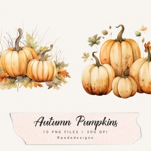 Op de afbeelding: Waterverfillustratie van herfstpompoenen met bladeren. Er zijn twee groepen pompoenen, &eacute;&eacute;n met drie pompoenen en de andere met twee pompoenen. De pompoenen zijn oranje en geel en hebben een realistische waterverf-stijl.
