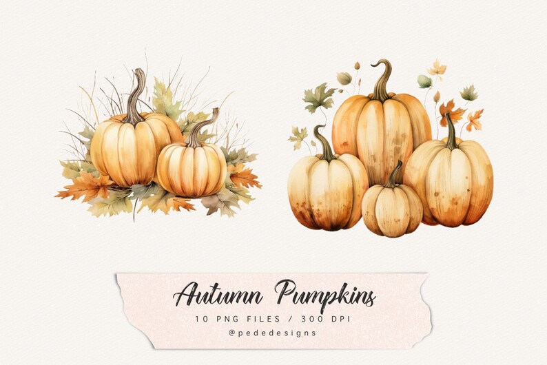 Op de afbeelding: Waterverfillustratie van herfstpompoenen met bladeren. Er zijn twee groepen pompoenen, &eacute;&eacute;n met drie pompoenen en de andere met twee pompoenen. De pompoenen zijn oranje en geel en hebben een realistische waterverf-stijl.