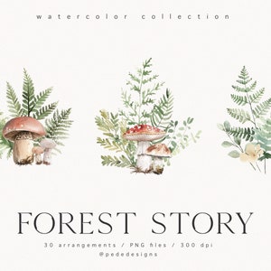 K&ouml;nnte beinhalten: Aquarell-Illustration von drei Waldszenen mit Pilzen und Farnen. Die erste Szene zeigt einen braunen Pilz mit wei&szlig;en Flecken und einen kleineren wei&szlig;en Pilz. Die zweite Szene zeigt einen roten und wei&szlig;en Pilz mit einem kleineren wei&szlig;en Pilz. Die dritte Szene zeigt einen Farnbusch und kleine wei&szlig;e Bl&uuml;ten. Der Text "FOREST STORY" befindet sich unter den Illustrationen.
