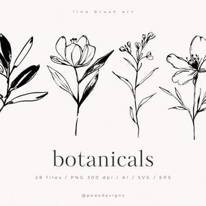 Line Brush Art, flores delicadas, elementos botânicos, elementos individuais, arquivos svg florais, elementos de logotipo, flores esboçadas à mão, download