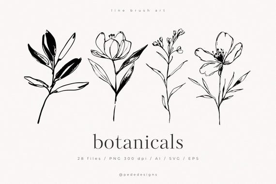 Floral Line Art Brush Strokes: Botanical SVG Clipart (Digital Download)