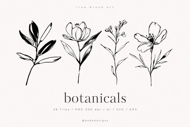 以下が含まれることがあります： 黒いインクの線画で描かれた4種類の植物イラストセット。花や葉が描かれています。テキストには「line brush art」「botanicals」「28 files / PNG 300 dpi / AI / SVG / EPS」「@pededesigns」と白い背景に記されています。