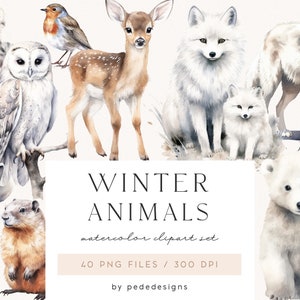 Clipart de animais de inverno em aquarela, animais do ártico, animais da floresta, decoração de berçário, filhotes de animais, veado, urso, coelho, ouriço, raposa, baixar