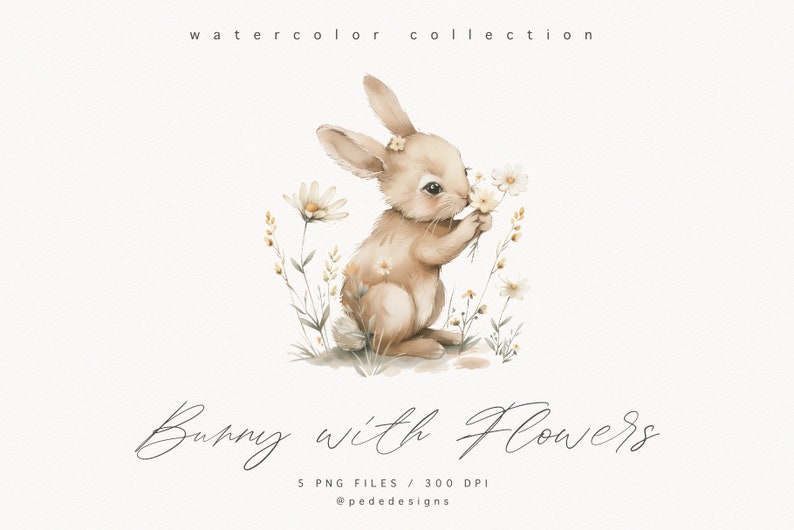 Bunny with Flowers clipart, watercolor baby bunny, spring png graphics, easter clipart, nursery clipart, spring flowers, daisies, download image 7