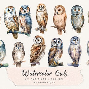 Watercolor owls clip art, boho png, fantasy clipart, bird png, nature clip art, mystical, woodland art, owl illustration, download image 3