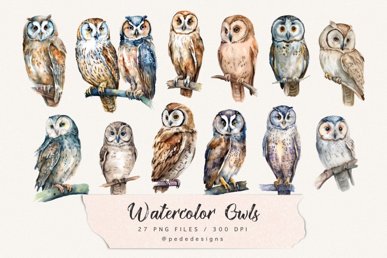 Watercolor owls clip art, boho png, fantasy clipart, bird png, nature clip art, mystical, woodland art, owl illustration, download image 3