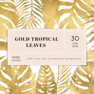 Gouden tropische bladeren illustraties, botanisch, monstera, goudfolie, sprankelend, gebladerte, palmboomblad clipart, jungle bladeren png, download