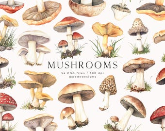 Imágenes prediseñadas de hongos, imágenes prediseñadas de bosque de acuarela, hongos silvestres png, vegetales, bosque, vida silvestre, hadas, mágico, acuarela vintage, descargar