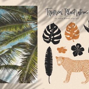May include: Tropical illustrations clip art set featuring hand-drawn images of palm leaves, monstera leaves, hibiscus flowers, a leopard, and a bird of paradise. The illustrations are in black, brown, and orange.