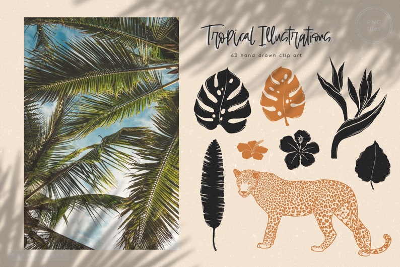 May include: Tropical illustrations clip art set featuring hand-drawn images of palm leaves, monstera leaves, hibiscus flowers, a leopard, and a bird of paradise. The illustrations are in black, brown, and orange.