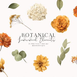 Può includere: Elementi botanici ad acquerello nei toni del giallo, arancione e verde, tra cui fiori, foglie e rametti. Il testo "BOTANICAL Individual Elements" è visualizzato in una scrittura elegante. 31 file PNG a 300 dpi.