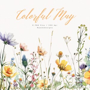 Colorful May, Spring Flowers, Watercolor Wild Floral Clipart ...