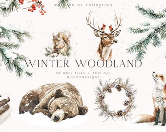 May include: A digital collection of watercolor illustrations titled Winter Woodland, featuring a sleeping bear, a squirrel, a deer with birds on its antlers, a fox, pine branches, berries, and a wreath, with text 68 PNG files 300 dpi.