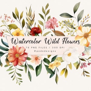 Clipart aquarelle de fleurs sauvages, png de fleurs, clipart prairie, autocollants pour agenda, illustration de mariage, rose sauvage, fleurs sauvages, téléchargement
