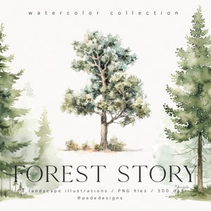 Aquarel landschapsillustraties - Forest Story Collection, bos clipart, aquarel boom, dennenboom clipart, bos clipart, download