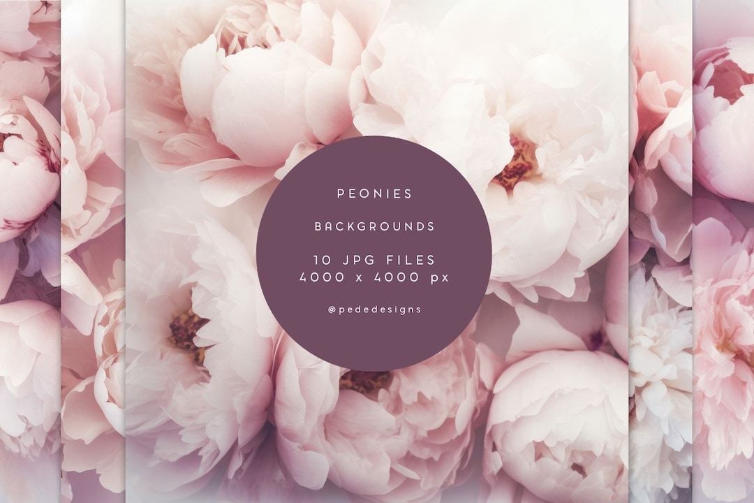 Peony Backgrounds Peonies Backdrop Pink Peonies Peony - Etsy