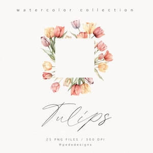 May include: Watercolor illustration of a square frame made of pink, yellow, and white tulips. The text "Tulips" is written in cursive below the frame. The text "25 PNG FILES / 300 DPI" and "@pededesigns" are written below the text "Tulips".