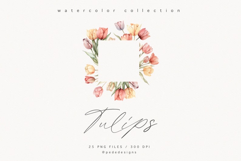 May include: Watercolor illustration of a square frame made of pink, yellow, and white tulips. The text "Tulips" is written in cursive below the frame. The text "25 PNG FILES / 300 DPI" and "@pededesigns" are written below the text "Tulips".