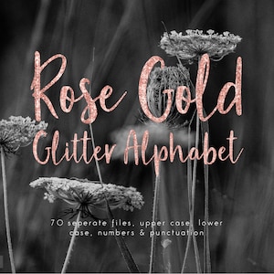 Sparkle alphabet clip art, rose gold glitter alphabet, upper case, lower case, numbers, punctuation, glitter letters, rose clipart, download