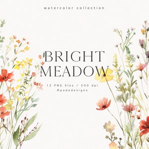 Bright Meadow, clipart de prado em aquarela, floral selvagem em aquarela, buquê floral, borda floral, adesivos de planejador, flores de casamento, download