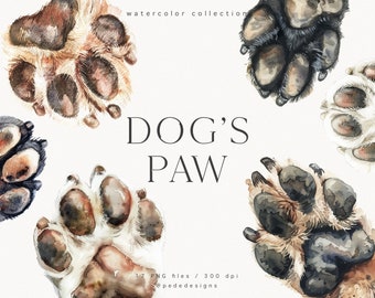Op de afbeelding: Waterverf illustraties van hondenpootjes in verschillende kleuren en patronen. De pootjes zijn realistisch geschilderd en hebben een zachte, pluche textuur. De afbeelding bevat de tekst "DOG'S PAW" en "17 PNG-bestanden / 300 dpi @pededesigns".