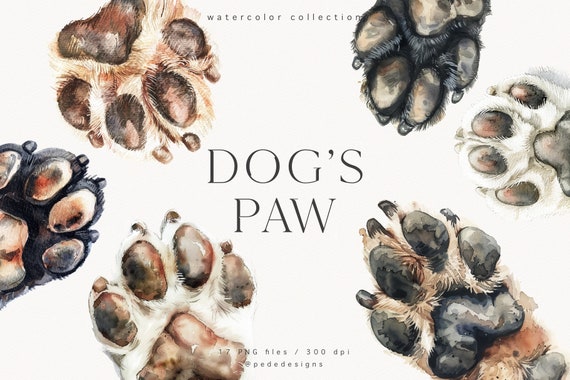 Dog's Paw Illustration, watercolor puppy clipart, dogs paw graphics, watercolor animal, best friend, watercolor dog, dog portrait, download