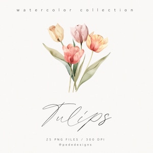 May include: Watercolor illustration of a bouquet of four tulips in shades of pink, peach, and yellow. The tulips are arranged in a loose, natural style with green leaves. The image is labeled "Tulips" and "25 PNG Files / 300 DPI @pededesigns".