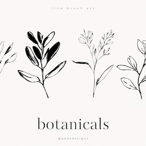 以下が含まれることがあります： 黒いインクで描かれた4つの異なる植物のイラストが水平に並んだデジタルグラフィック。葉のついた茎や花が描かれています。上部にはline brush artというテキストがあり、下部にはbotanicalsと@pededesignsというテキストが配置されています。