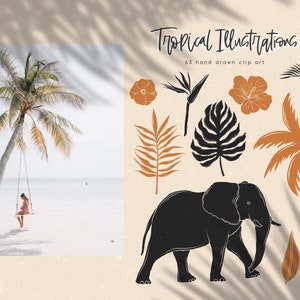 May include: A set of 63 hand-drawn tropical illustrations in black, brown, and orange. The illustrations include palm trees, flowers, leaves, and an elephant. The text "Tropical Illustrations" and "63 hand drawn clip art" is included in the image.