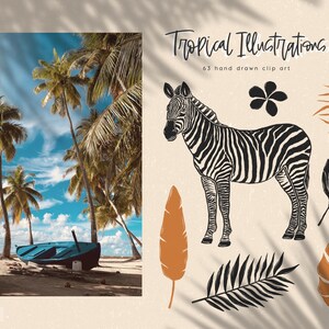 May include: A set of 63 hand-drawn tropical illustrations, including a zebra, palm leaves, flowers, and a monstera leaf. The illustrations are in black, white, and brown.