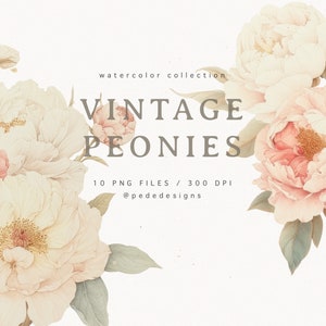 Paquete de imágenes prediseñadas de peonías vintage de acuarela, imágenes prediseñadas florales, peonía blanca y rosa, pegatinas de planificador, ilustración de boda, flores png, descargar