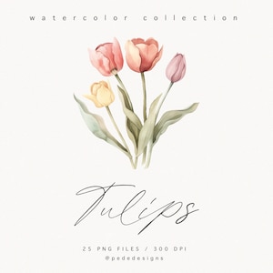 May include: Watercolor illustration of a bouquet of pink, yellow, and peach tulips with green leaves. The image is labeled "Tulips" and "25 PNG Files / 300 DPI @pededesigns".