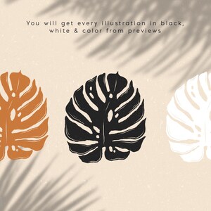May include: Three illustrations of a tropical leaf in different colors: brown, black, and white. The leaf is a stylized version of a monstera leaf.