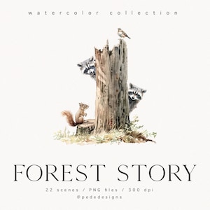K&ouml;nnte beinhalten: Aquarell-Illustration einer Waldszene mit einem Eichh&ouml;rnchen, zwei Waschb&auml;ren und einem Vogel, der auf einem Baumstumpf sitzt. Die Illustration tr&auml;gt den Titel "FOREST STORY" mit dem Text "22 Szenen / PNG-Dateien / 300 dpi @pededesigns".