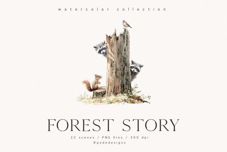 K&ouml;nnte beinhalten: Aquarell-Illustration einer Waldszene mit einem Eichh&ouml;rnchen, zwei Waschb&auml;ren und einem Vogel, der auf einem Baumstumpf sitzt. Die Illustration tr&auml;gt den Titel "FOREST STORY" mit dem Text "22 Szenen / PNG-Dateien / 300 dpi @pededesigns".