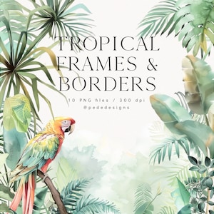 Tropische Rahmen und Bordüren, Hintergrund exotisch, tropische Landschaft, Hochzeit, Monstera, Palme, vorgefertigter Rahmen, Download