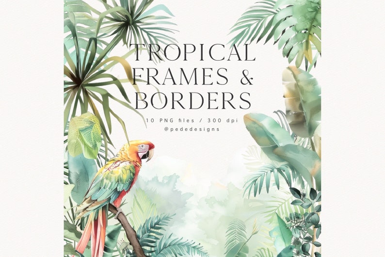 Tropical Frames & Borders, Watercolor Clipart, Exotic Background ...