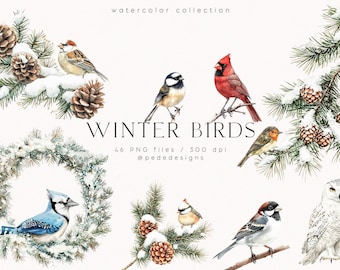 May include: A digital collection of watercolor illustrations titled WINTER BIRDS, featuring various birds including a cardinal, blue jay, and snowy owl, alongside pine branches with snow and pinecones. Includes 46 PNG files at 300 dpi.