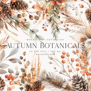 Autumn Botanicals Clip Art Set, aquarel herfst clipart, herfst bloemen clipart, hallo herfst, stickers, gebladerte, kegel, lijsterbes, download