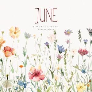June, summer wildflowers, watercolor wild floral border, watercolor meadow, premade border, planner stickers, wedding, colorful, download