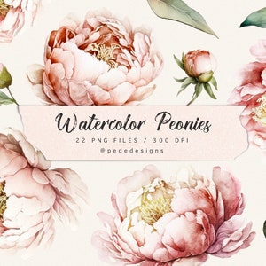 Watercolor peonies clip art pack, floral clipart, watercolor bright peony, planner stickers, wedding illustration, flowers png, download