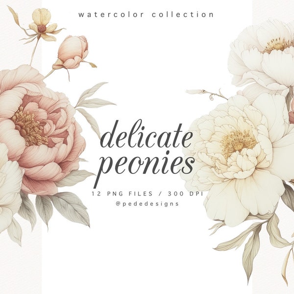 Watercolor delicate peonies clipart, frame clipart, white & peach peony, digital stickers, wedding illustration, bouquet png, download