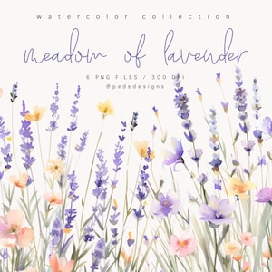 Lavendelwiese, Lavendel Clipart, Aquarell Wiesenbordüre, lila und gelbe blumen, Hochzeit Bordüre, download